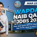 WAPDA Naib Qasid Jobs 2026
